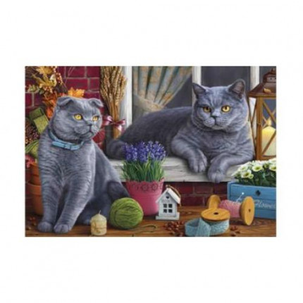 Картина по номерам Палитра. Британские коты на окне 40*50см, акриловые краски, кисти Х-3480, (арт. 11-165752)