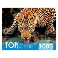 Рыжий кот 11-173041 Пазлы 1000 дет. Красивый леопард ГИТП1000-2146, TOPpuzzle 