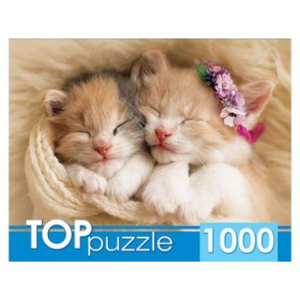 Пазлы 1000 дет. Два спящих котенка ГИТП1000-2142, TOPpuzzle (арт. 11-179395)