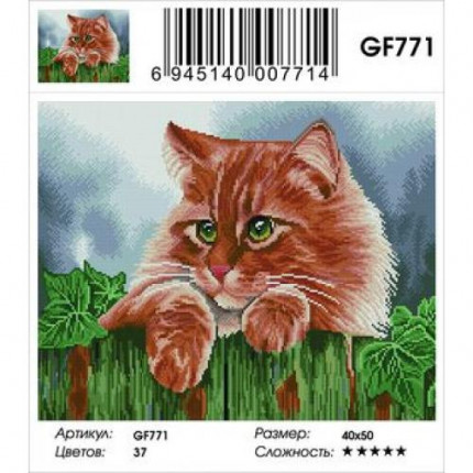 Алмазная мозаика Рыжий кот (40*50см, стразы квадратные, контейнер, основа-холст с подрамником) GF771 (арт. 11-183588)