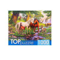 Рыжий кот 11-185322 Пазлы 1000 дет. Лошади в прекрасной долине ХТП1000-4146, TOPpuzzle 