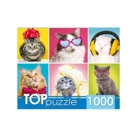 Рыжий кот 11-186121 Пазлы 1000 дет. Смешные котята ГИТП1000-4138, TOPpuzzle 