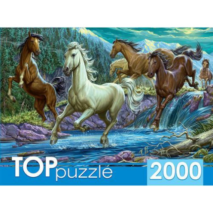 Пазлы 2000 дет. Ночной табун лошадей ХТП2000-1594, TOPpuzzle (арт. 11-188282)