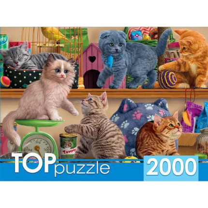 Пазлы 2000 дет. Смешные котята в зоомагазине ХТП2000-1596, TOPpuzzle (арт. 11-188283)
