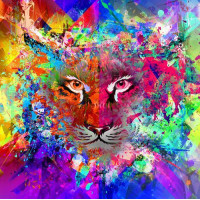 Рыжий кот 11-208531 Картина по номерам Цветной тигр 40*50см, акриловые краски, кисти Х-3004, 