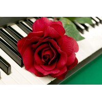 Рыжий кот 11-208546 Картина по номерам Роза на фортепиано 40*50см, акриловые краски, кисти Х-4743, 