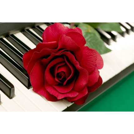 Картина по номерам Роза на фортепиано 40*50см, акриловые краски, кисти Х-4743, (арт. 11-208546)