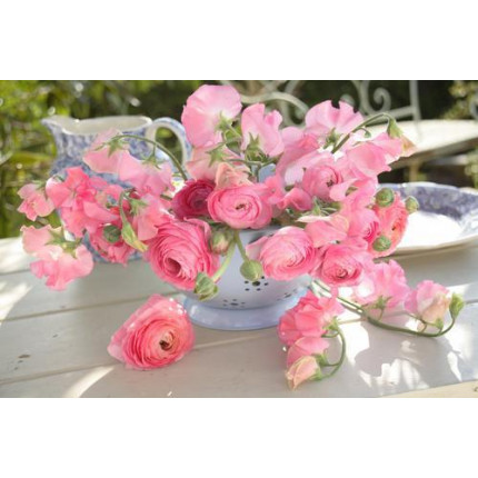 Картина по номерам Прекрасные розовые розы 40*50см, акриловые краски, кисти Х-4730, (арт. 11-208551)