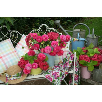 Картина по номерам Розовые цветы в саду 40*50см, акриловые краски, кисти Х-4729, (арт. 11-208552)
