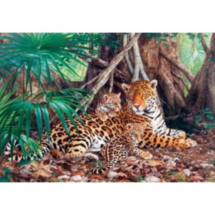 Пазлы 3000 дет. Ягуары в джунглях С-300280 (см. код 143966), (Castor Drukarnia i Wydawnictwo) (арт. 11-83181)