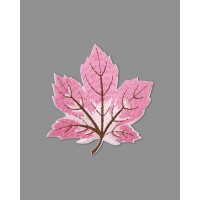 Прочие АДЦ-185-4-34140.004 Декоративная термоаппликация р.7,5х8 см розовый 