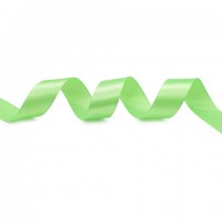 Прочие Лента атласная 2,5 см х 22,86 м цв.085 яркий салат Лента атласная 2,5 см х 22,86 м цв.085 яркий салат 