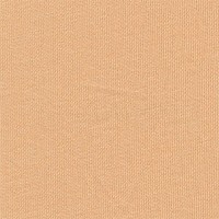 PEPPY DTF-01 Трикотаж кукольный PEPPY DTF-01 ФАСОВКА 50*55 см ,06 бежевый состав 100% хлопок 