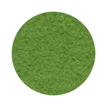 Набор декоративного  фетра FSR1.2 -865N5 1,2мм; 22см х 30см (5 листов, цвет зеленая трава) (арт. FSR1.2 -865N5)