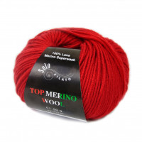 Top Merino Wool Цвет 1078
