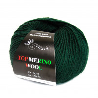 Top Merino Wool Цвет 1185