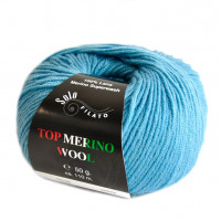 Top Merino Wool Цвет 1328
