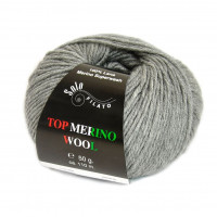 Top Merino Wool Цвет 1330