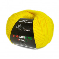 Top Merino Wool Цвет 5468