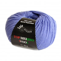 Top Merino Wool Цвет 5473
