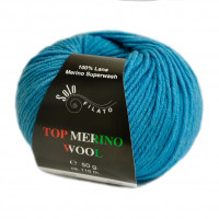 Top Merino Wool Цвет 5475