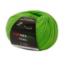 Top Merino Wool Цвет 5478