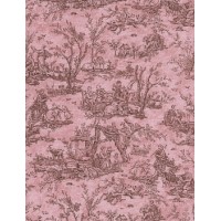 Timeless Treasures  Ткань Timeless Treasures 100% хлопок, ширина 110 см, Paris-C3788-Pink 