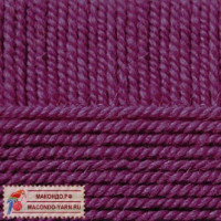 Осенняя Цвет 191 ежевика