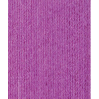 Color 4-ply Цвет 2020 Violet Pink