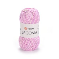 Begonia Melange Цвет 3051