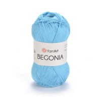 Begonia Цвет 0008 бирюза