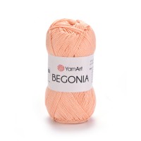 Begonia Цвет 6322 абрикос