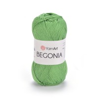 Begonia Цвет 6332 светло-зеленый