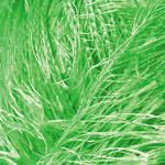 Samba Цвет 09 зелень